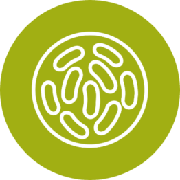 Fibersol prebiotic benefits icon