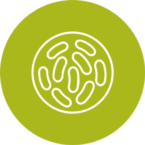 innovation your label claim prebiotic