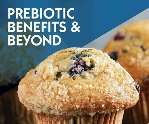 Blueberry muffin case study