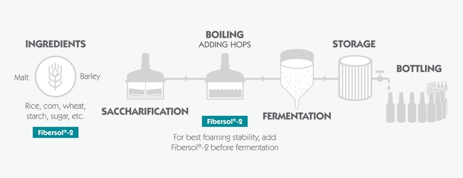 Brewing stages chart