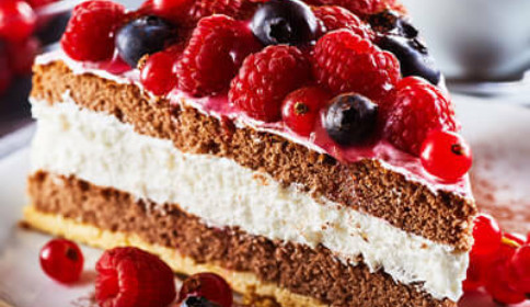 piece of chocolate cake