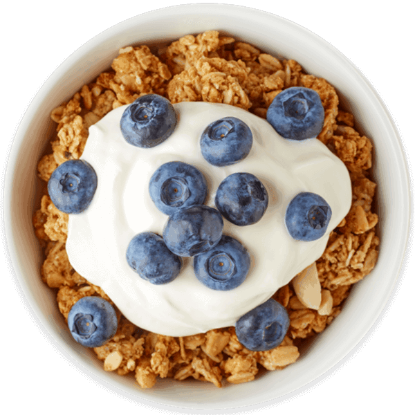 bowl of yogurt and granola