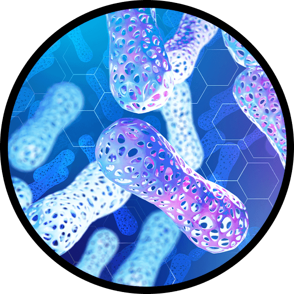 microbiome organisms