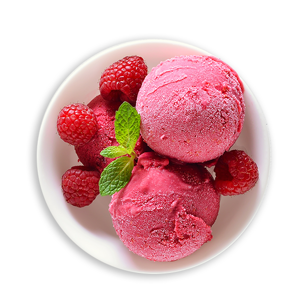 bowl of raspberry sorbet